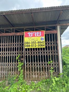 ���⢹� �� zionasset1