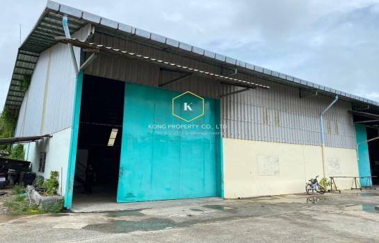 ��л��ᴧ �� Kong property