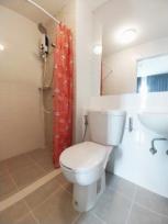 �͹� �ҧ�˭�