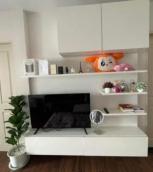 �͹� ���ͧ