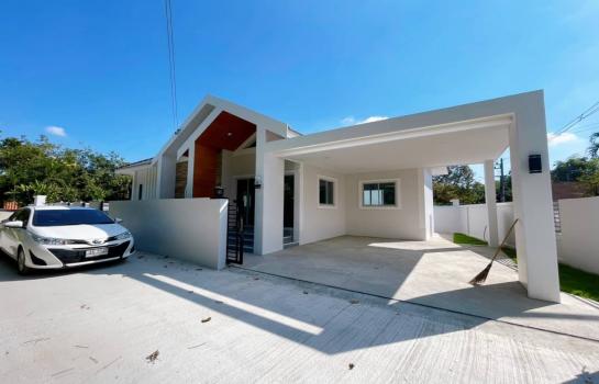 ��ҹ 2,390,000 �ҷ 50 ��.�