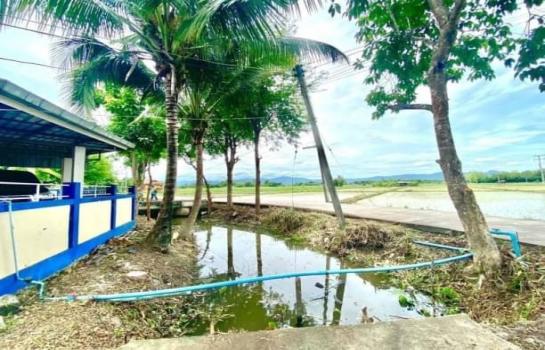 �ѹ��ᾧ �� northern1