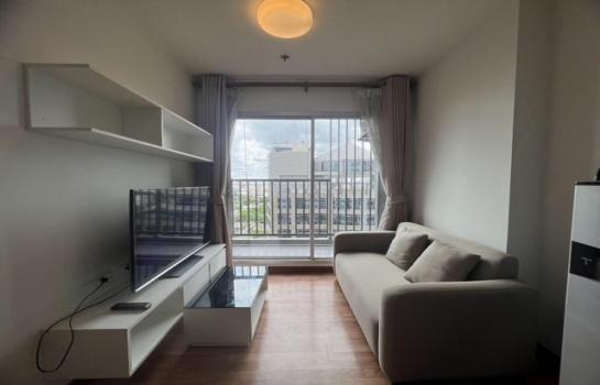 ���ͧ �� Theproperty