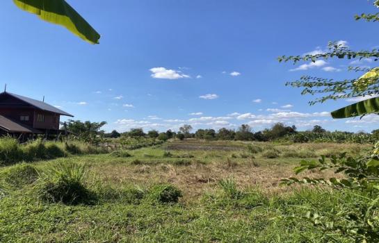 ������� �� sopa