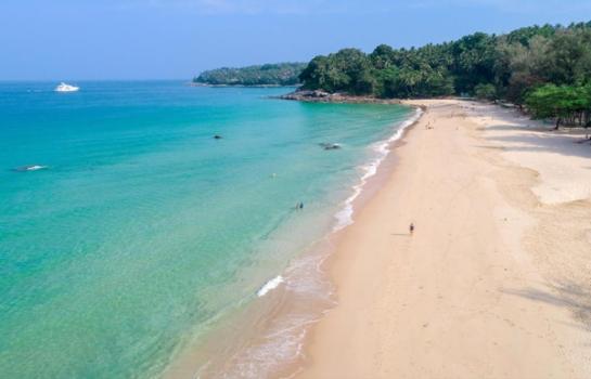 ��¸�áԨ ��ҧ����