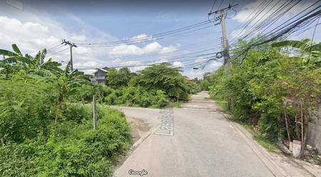 ���Թ�ҧ�� �� incube