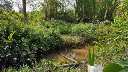 ���Թ ��Ҵ 7 ���