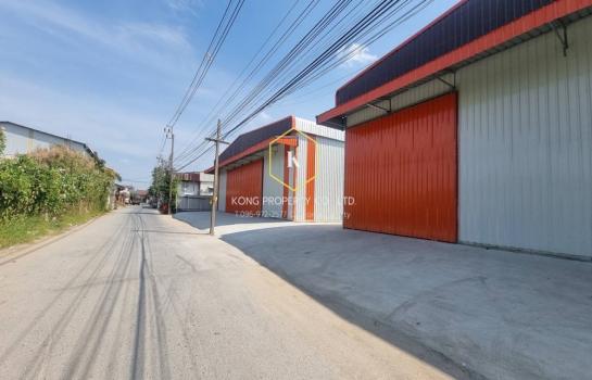 �֧���� �� Kong property