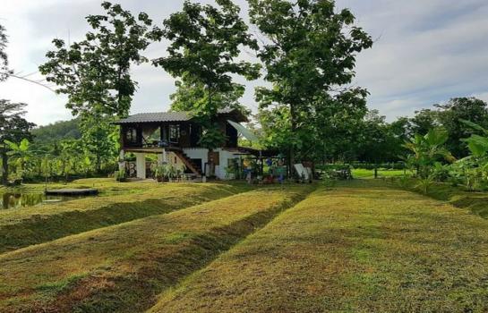 �ѹ���� �� northern1