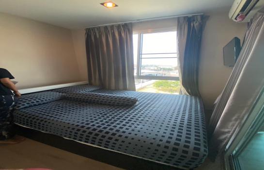 �͹������������� ��§����