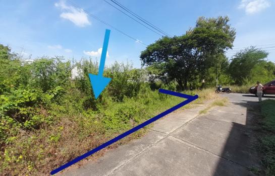 10 ��áԨ �ʹ����