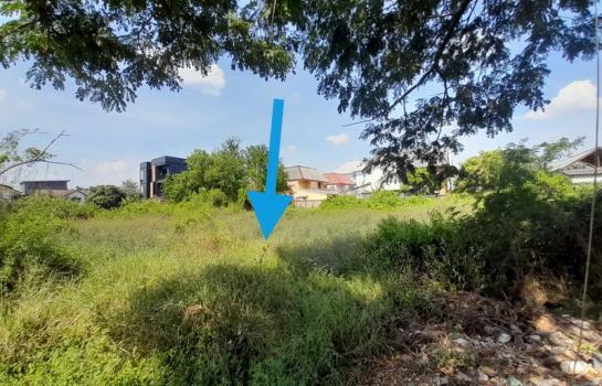 ��¸�áԨ �֧���� ��ا෾