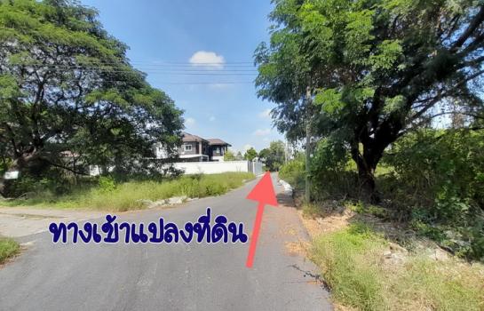 ��¸�áԨ �֧���� ��ا෾