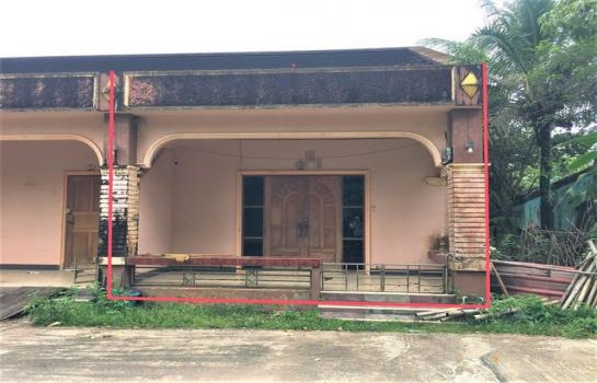 ��¾ѧ�� �� panaya.opalopal