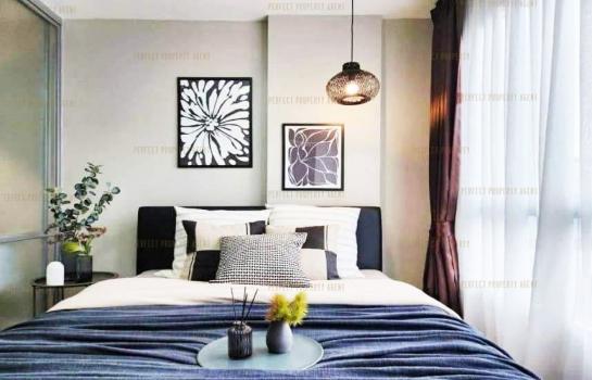 �͹����ͧ �� Perfect Property1