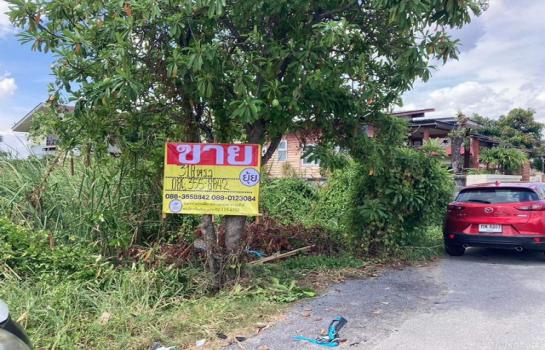 ������ �� zionasset1