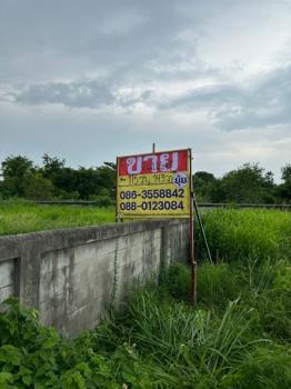 ������ �� zionasset1