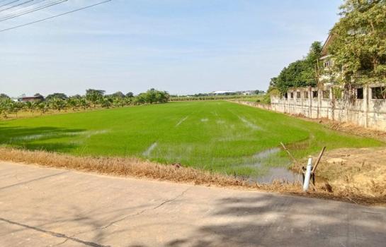 ��ɳ��š �� zionasset1