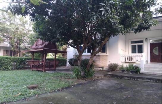 ��ҹ����Ǿ�������� �ѹ�����