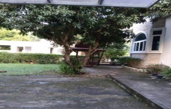 ��ҹ���������ç���¹ �ѹ�����