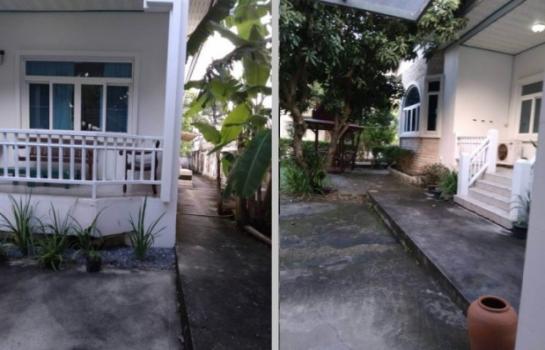 ��ҹ����������� �ѹ�����