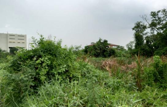 ˹ͧ�͡ �� Jyn Property