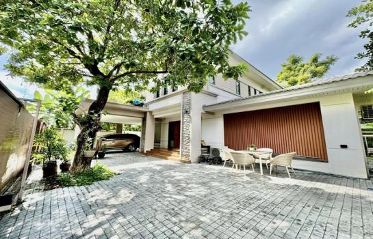 �Ѳ�� �� kantapon4