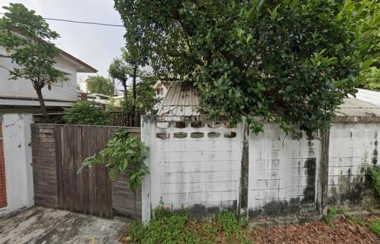 ����Ѳ�� �� HarrisonTH