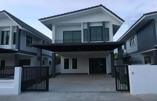 ��ҹ����� �� northern1