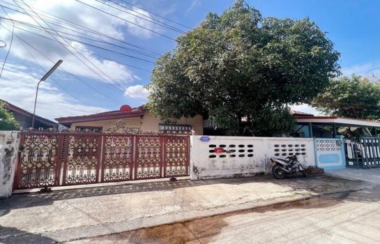 ��¤ѹ����� �� asanghapl