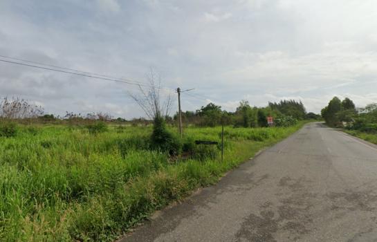 �ѵ�պ �� The Vinvestor