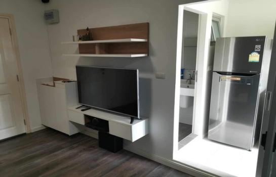 �͹����ͧ ���ͧ