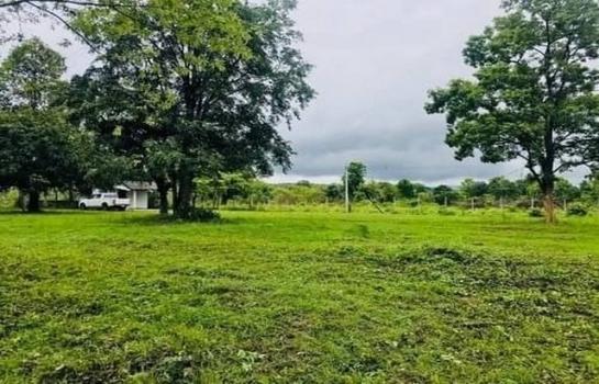 �ҧ�� �� onanong khumaphao