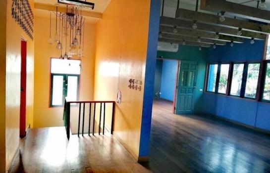 ���⢹� �� naorinpl