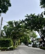 ��ҹ ��ͧ�����