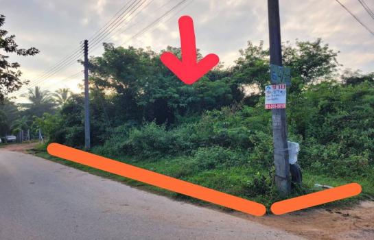 ��·��Թ ���ͧ��������