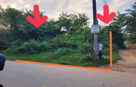 ��·��Թ ���ͧ��������