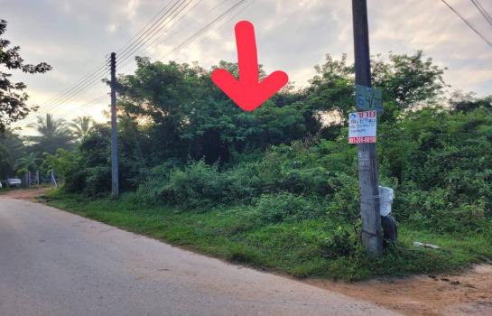 ��·��Թ ���ͧ��������