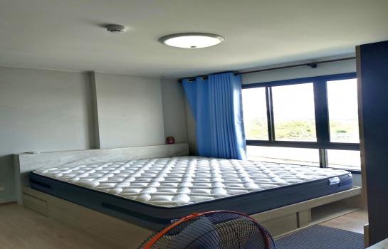 �͹� ʧ���