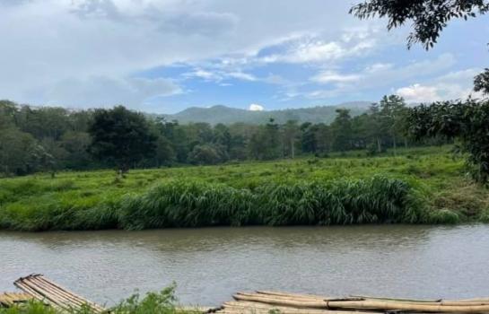 ����ҧ �� onanong khumaphao