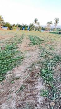 ����Թ �� sopa