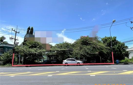 ���� �� compos2566