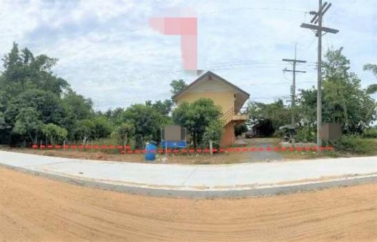 ����� �� panaya.opalopal