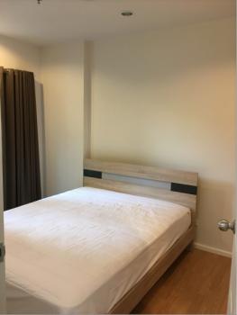 �͹����ͧ �� easythaihome