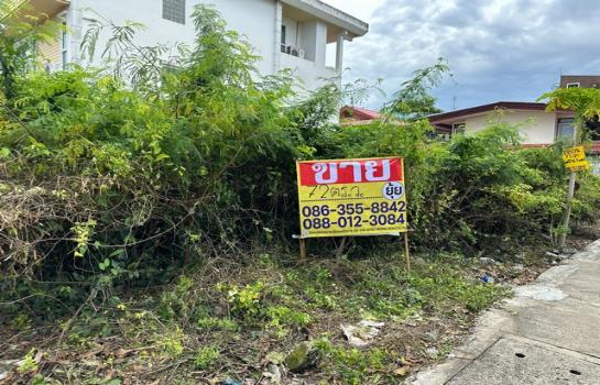 ���⢹� �� zionasset1