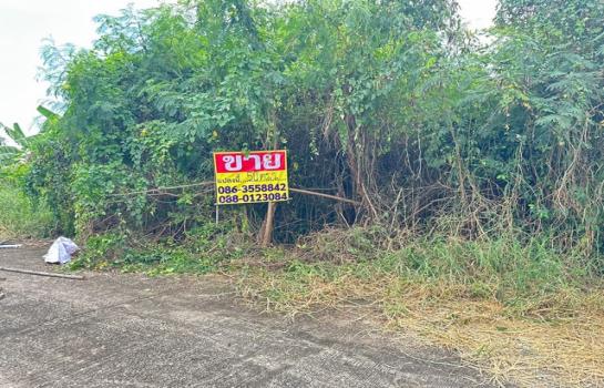 ���觪ѹ �� zionasset1