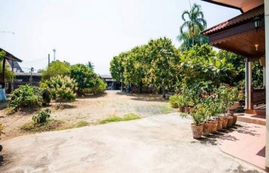 ������ �� onanong khumaphao