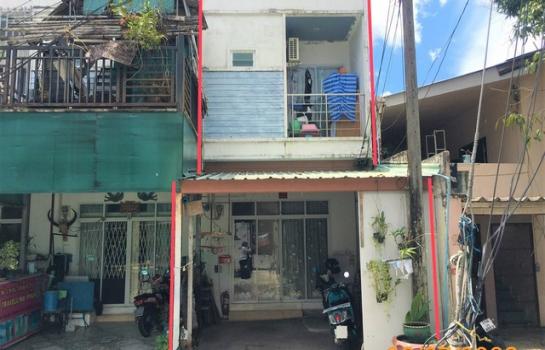 ���� �� compos2566