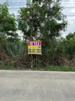 �����ҹ� �� zionasset1