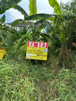 ���觪ѹ �� zionasset1